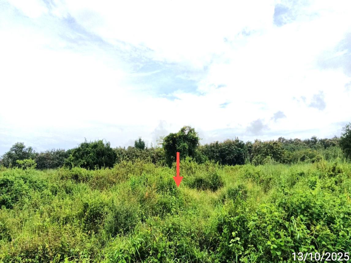 picture LAND for sale Tao Pun Song Phrae - 17/24