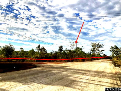 Land for sale Sakon Nakhon : LAND for sale  Ba Wa Akat Amnuai Sakon Nakhon