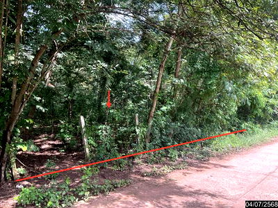 Land for sale Nong Bua Lam Phu : LAND for sale  Muang Mai Si Bun Ruang Nong Bua Lam Phu