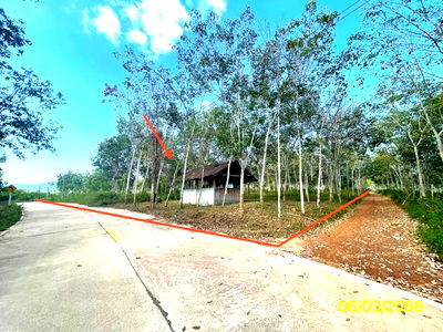 Houses for sale Hat Yai Songkhla : HOME for sale  Phatong Hat Yai Songkhla