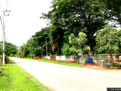 Land for sale Nong Bua Lam Phu : LAND for sale  Muang Mai Si Bun Ruang Nong Bua Lam Phu