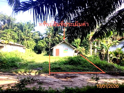 Houses for sale Nakhon Sri Thammarat : HOME for sale  Tha Yang Thung Yai Nakhon Sri Thammarat