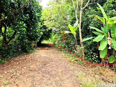 LAND 223 Sq.w. Noen Maprang Phitsanulok for 959,000