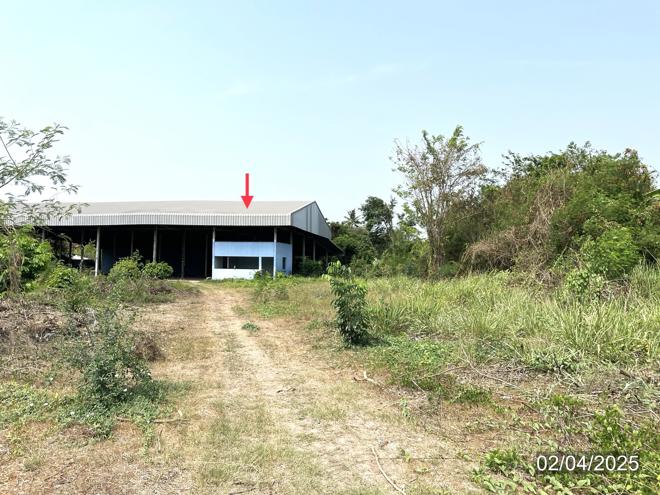 รูป อาคารโรงงาน สำหรับขาย - ทะนง โพทะเล พิจิตร - รูปที่ 1/34