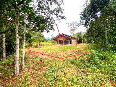 Houses for sale Na Thawi Songkhla : HOME for sale  Thap Chang Na Thawi Songkhla