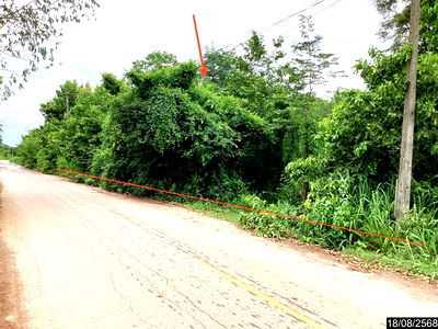 Land for sale Nong Bua Lam Phu : LAND for sale  Kut Sa Thian Si Bun Ruang Nong Bua Lam Phu