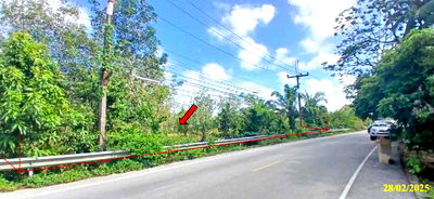 ที่ดิน นราธิวาส : ที่ดินว่างเปล่า สำหรับขาย รอตันบาตู กะลุวอ เมืองนราธิวาส นราธิวาส