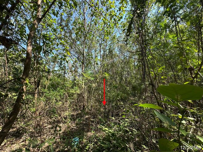 รูป โกดัง สำหรับขาย - พุเตย วิเชียรบุรี เพชรบูรณ์ - รูปที่ 8/20