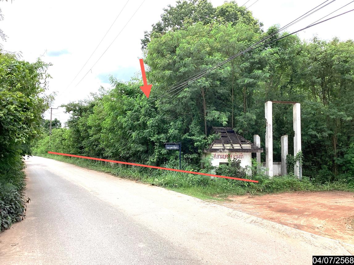 รูป ที่ดินว่างเปล่า สำหรับขาย - นาดี เมืองอุดรธานี อุดรธานี - รูปที่ 13/24