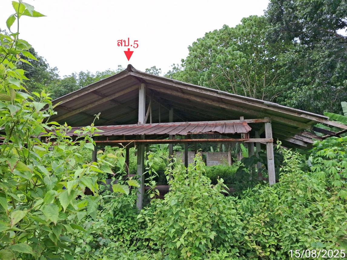 รูป บ้านเดี่ยว สำหรับขาย - นาหมื่นศรี นาโยง ตรัง - รูปที่ 61/72