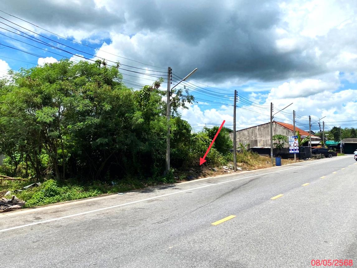 รูป ที่ดินว่างเปล่า สำหรับขาย - พะตง หาดใหญ่ สงขลา - รูปที่ 14/18