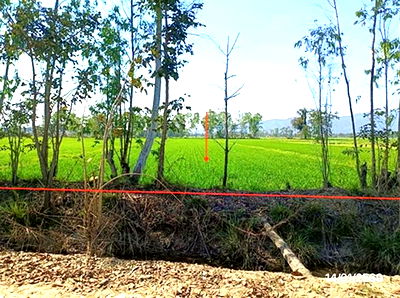 Land for sale Chun Phayao : LAND for sale  Lo Chun Phayao