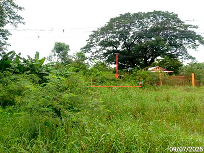 Land for sale Phetchabun : LAND for sale  Phukham Wichian Buri Phetchabun