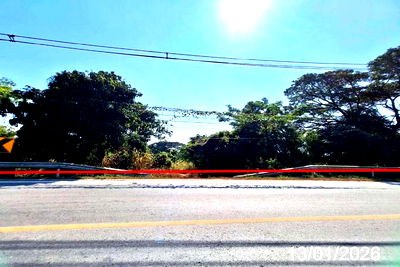 Land for sale Lamphun : LAND for sale  Nam Dip Pa Sang Lamphun