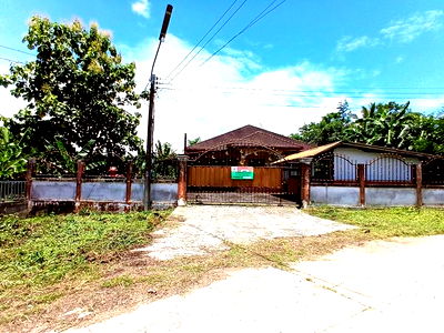 บ้านเดี่ยว เชียงราย : บ้านเดี่ยว สำหรับขาย - ป่าตึง แม่จัน เชียงราย