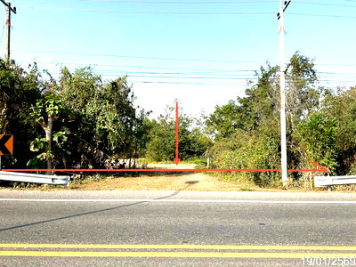 Land for sale Thap Than Uthai Thani : LAND for sale  Nong Yai Da Thap Than Uthai Thani