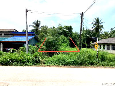 ที่ดิน ป่าบอน พัทลุง : ที่ดินว่างเปล่า สำหรับขาย - ทุ่งนารี ป่าบอน พัทลุง