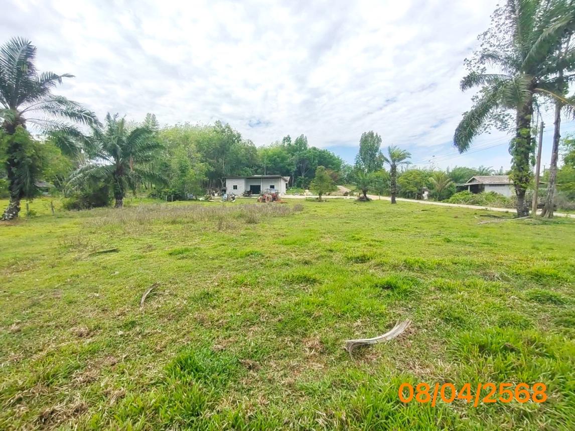 รูป ที่ดินว่างเปล่า สำหรับขาย - เหนือคลอง เหนือคลอง กระบี่ - รูปที่ 16/20