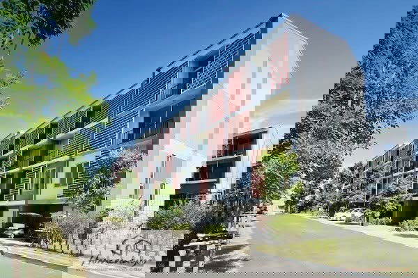 picture SIAMESE blossom @               fashion - 1/14