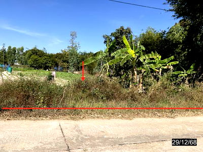 Land for sale Kalasin : LAND for sale  Yot Kaeng Na Mon Kalasin