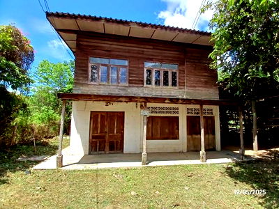 Houses for sale Ban Hong Lamphun : HOME for sale  Sri Tia Ban Hong Lamphun