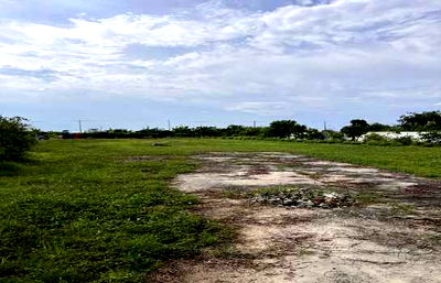 ที่ดิน บางบ่อ สมุทรปราการ : ขาย ที่ดินสีม่วง 2-2-8 ไร่ ถมแล้ว ติดถนน ใกล้นิคมเวลโกรว์