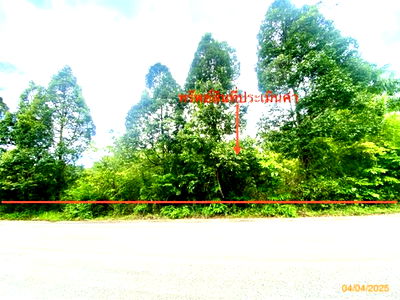 Land for sale Trang : LAND for sale  Hat Samran Hat Samran Trang