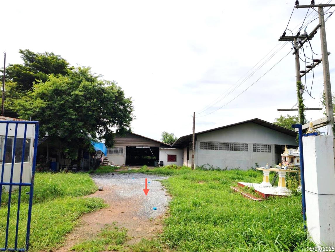 รูป อาคารโรงงาน สำหรับขาย - หนองน้ำใหญ่ ผักไห่ พระนครศรีอยุธยา - รูปที่ 19/40
