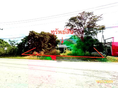 Houses for sale Kanchanadit Surat Thani : HOME for sale  Khlong Sa Kanchanadit Surat Thani