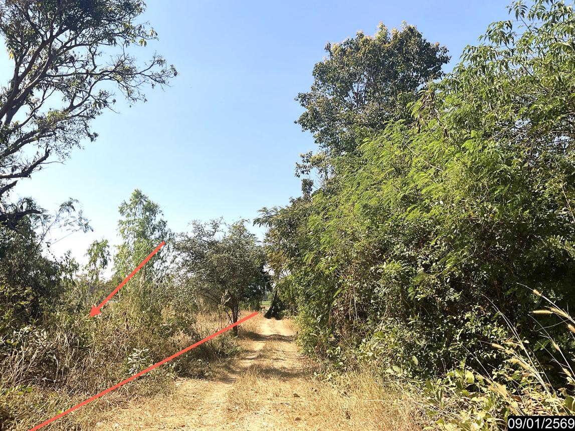 รูป ที่ดินว่างเปล่า สำหรับขาย - โพนงาม กมลาไสย กาฬสินธุ์ - รูปที่ 20/24