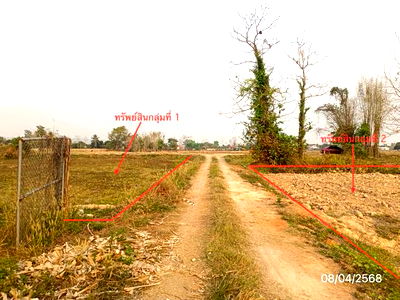 Land for sale Muang Phayao Phayao : LAND for sale  Ban Mai Muang Phayao Phayao