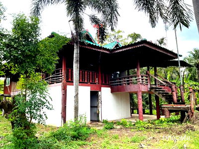 Houses for sale Ratchburi : HOME for sale  Don Kruai Damnoen Saduak Ratchburi