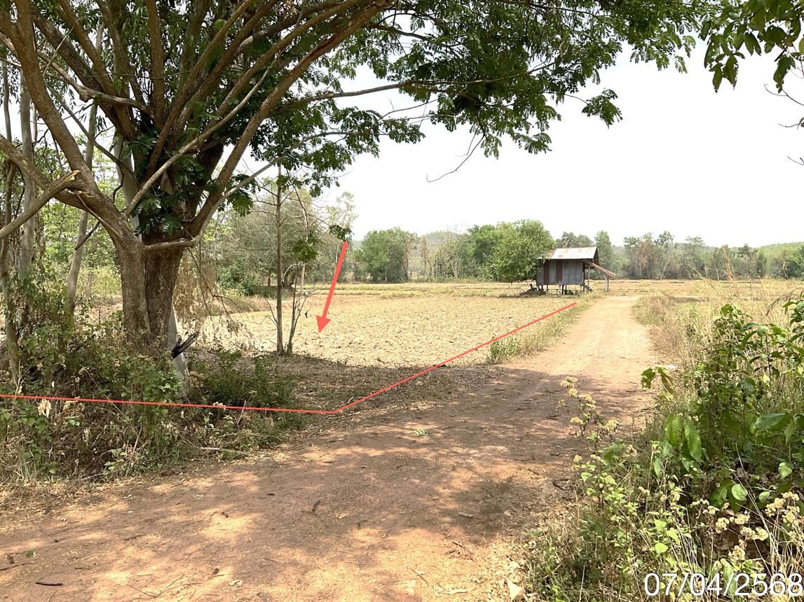 รูป ที่ดินว่างเปล่า สำหรับขาย - ดงเจน ภูกามยาว พะเยา - รูปที่ 12/24