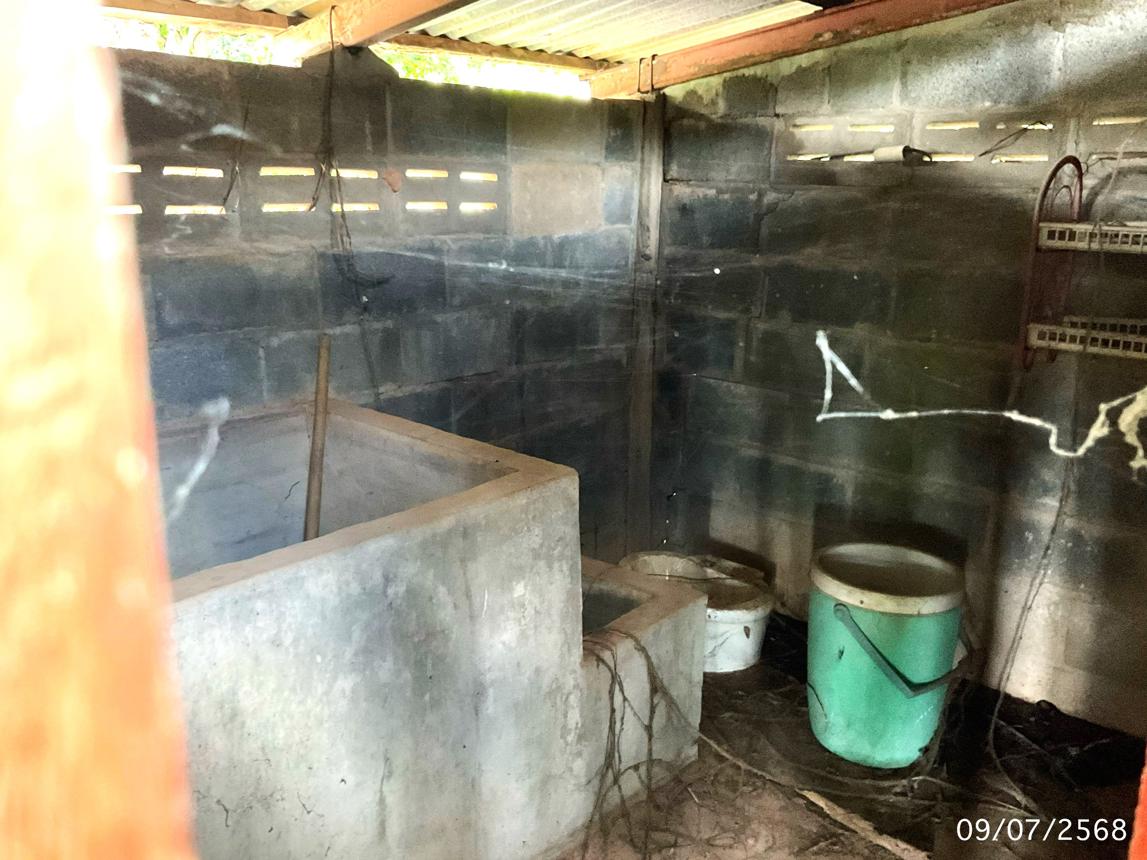 รูป บ้านเดี่ยว สำหรับขาย - ชานุมาน ชานุมาน อำนาจเจริญ - รูปที่ 38/44