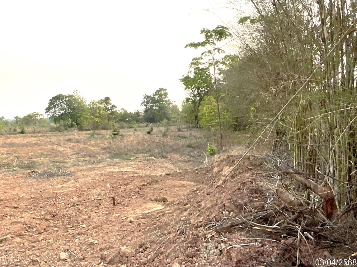 picture LAND for sale  Kut Sra Muang Udon Thani Udon Thani - 17/22