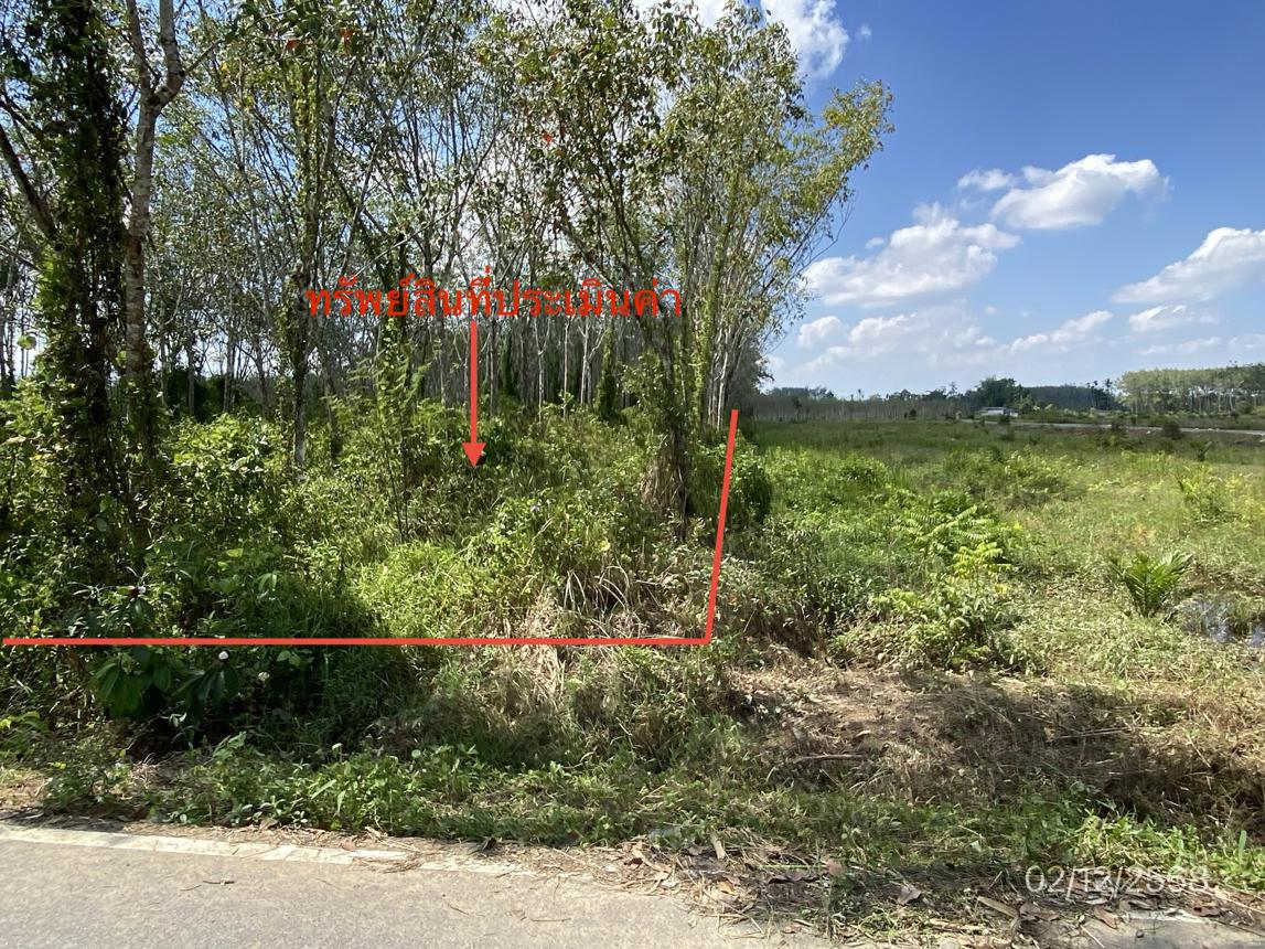 รูป ที่ดินว่างเปล่า สำหรับขาย - เกาะเปียะ ย่านตาขาว ตรัง - รูปที่ 14/20