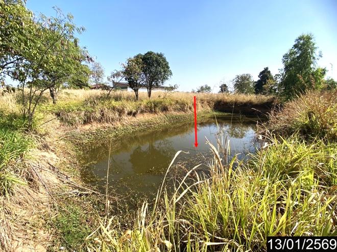 picture FACTORY for sale Nong Kung Thap Ma Wang Sam Mo Udon Thani - 19/44