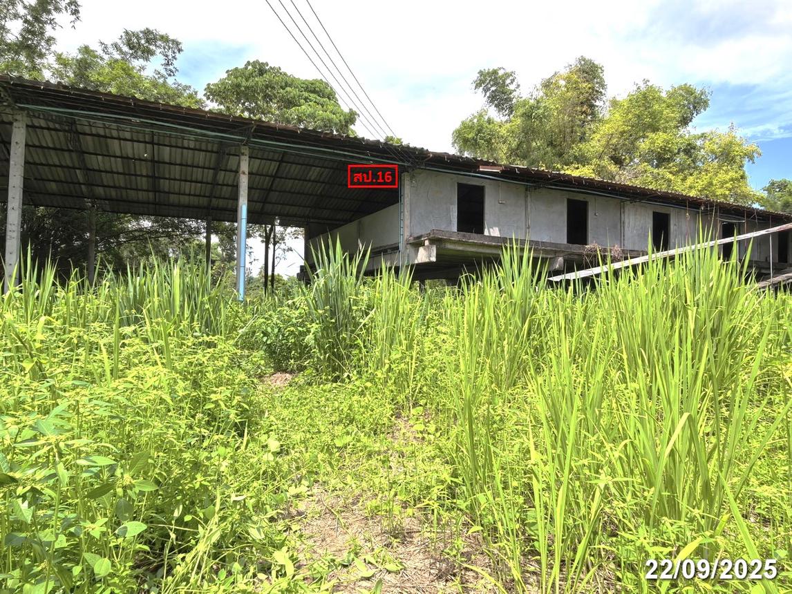 รูป โกดัง สำหรับขาย - บ้านกาด แม่วาง เชียงใหม่ - รูปที่ 45/52