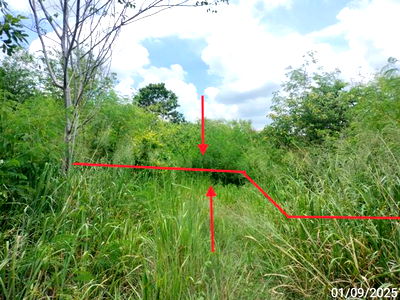 Land for sale Muak Lek Saraburi : LAND for sale  Sap Sanun Muak Lek Saraburi