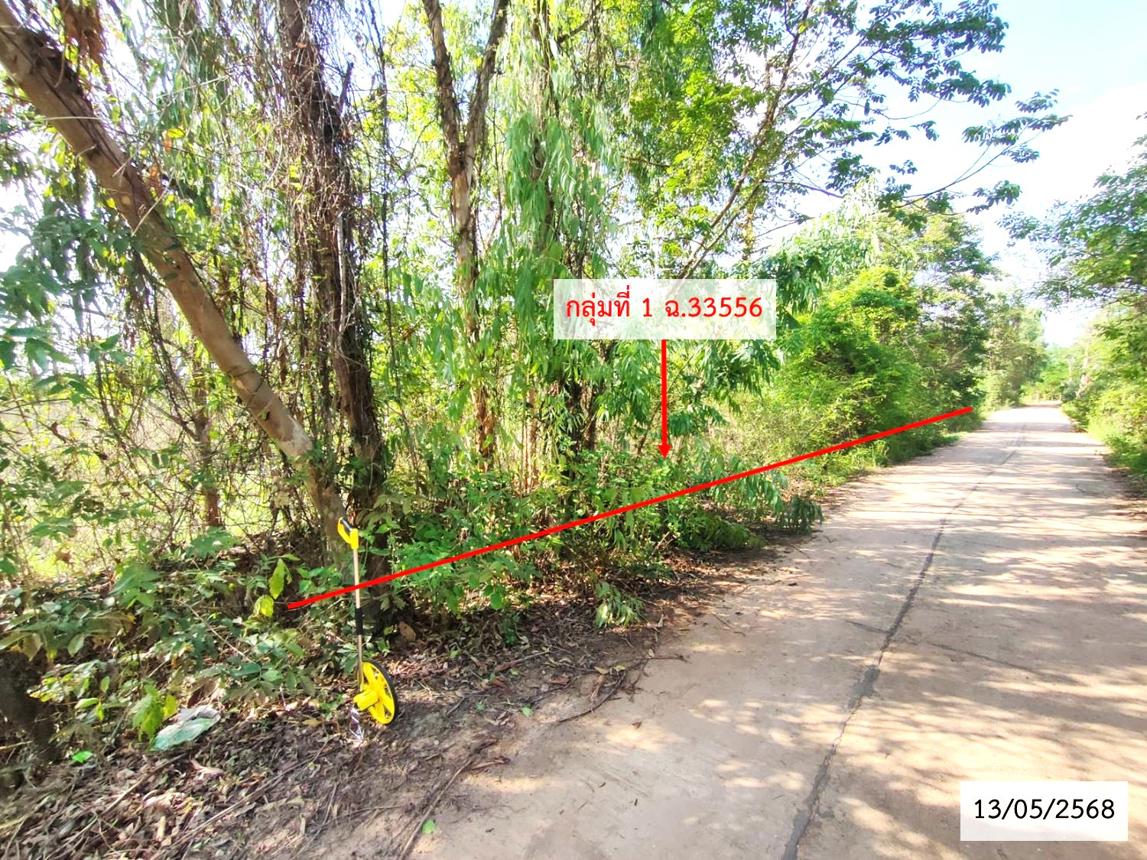 รูป ที่ดินว่างเปล่า สำหรับขาย - หนองย่างชิ้น เรณูนคร นครพนม - รูปที่ 20/36