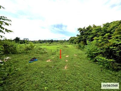 Land for sale Sawang Daen Din Sakon Nakhon : LAND for sale  Ban Tai Sawang Daen Din Sakon Nakhon