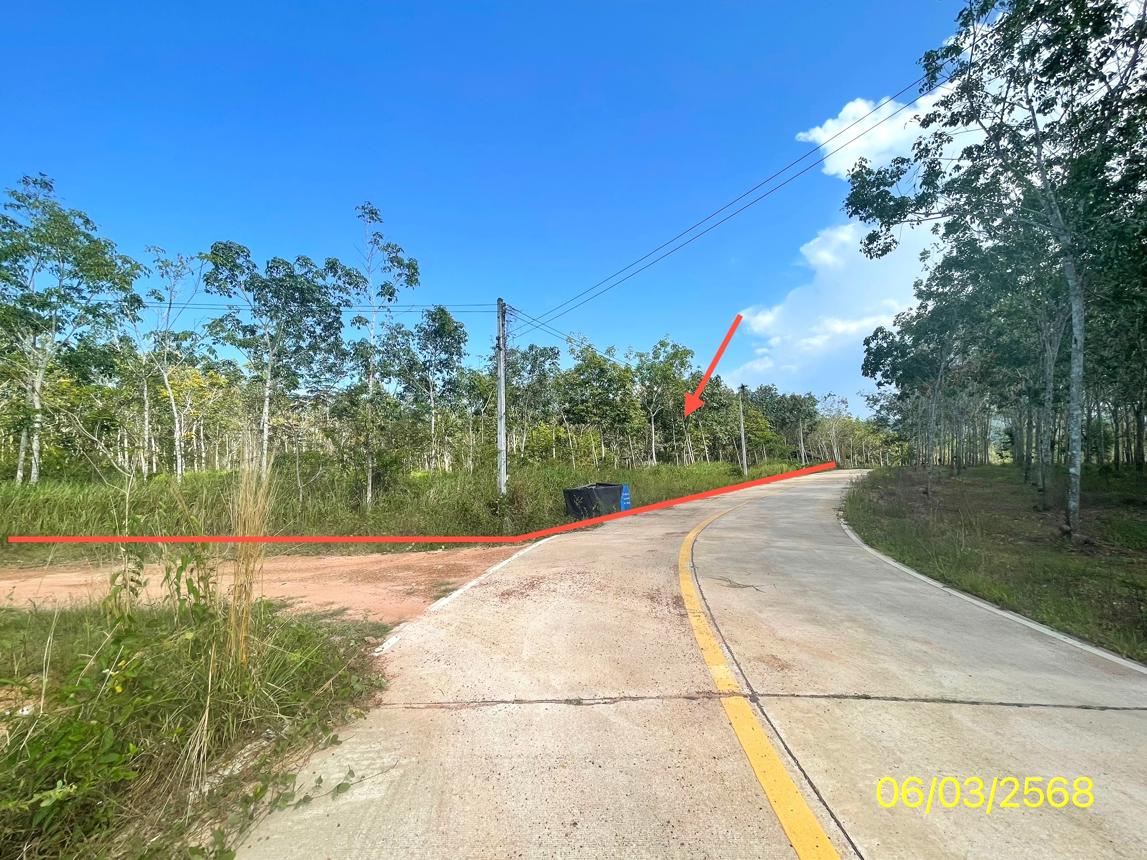 รูป บ้านเดี่ยว สำหรับขาย - พะตง หาดใหญ่ สงขลา - รูปที่ 23/28