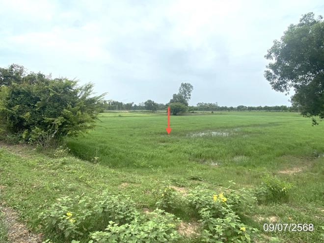 รูป ที่ดินว่างเปล่า สำหรับขาย - เกษตรวิสัย เกษตรวิสัย ร้อยเอ็ด - รูปที่ 7/24