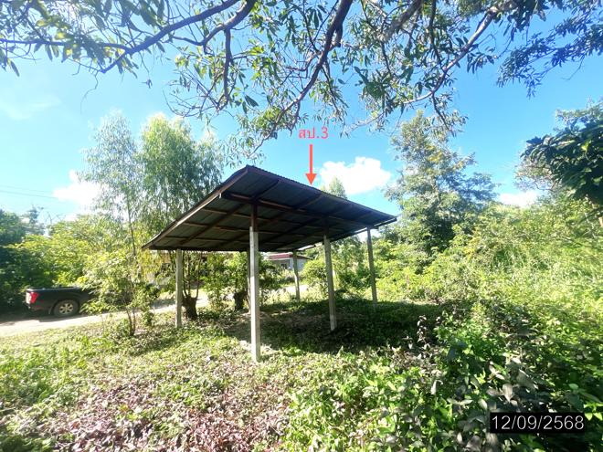 รูป บ้านเดี่ยว สำหรับขาย - หนองขอน เมืองอุบลราชธานี อุบลราชธานี - รูปที่ 12/36