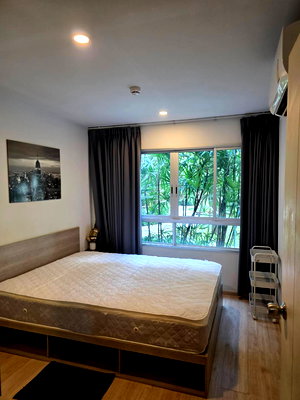Condos for rent Sripatum University : T204 Condo for rent Elio Del Moss Phaholyothin34, near Kaset University, 1st floor, pool view, ready to move in.