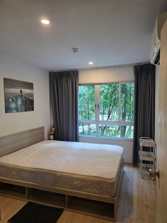 รูปภาพ T204 Condo for rent Elio Del Moss Phaholyothin34, near Kaset University, 1st floor, pool view, ready to move in.