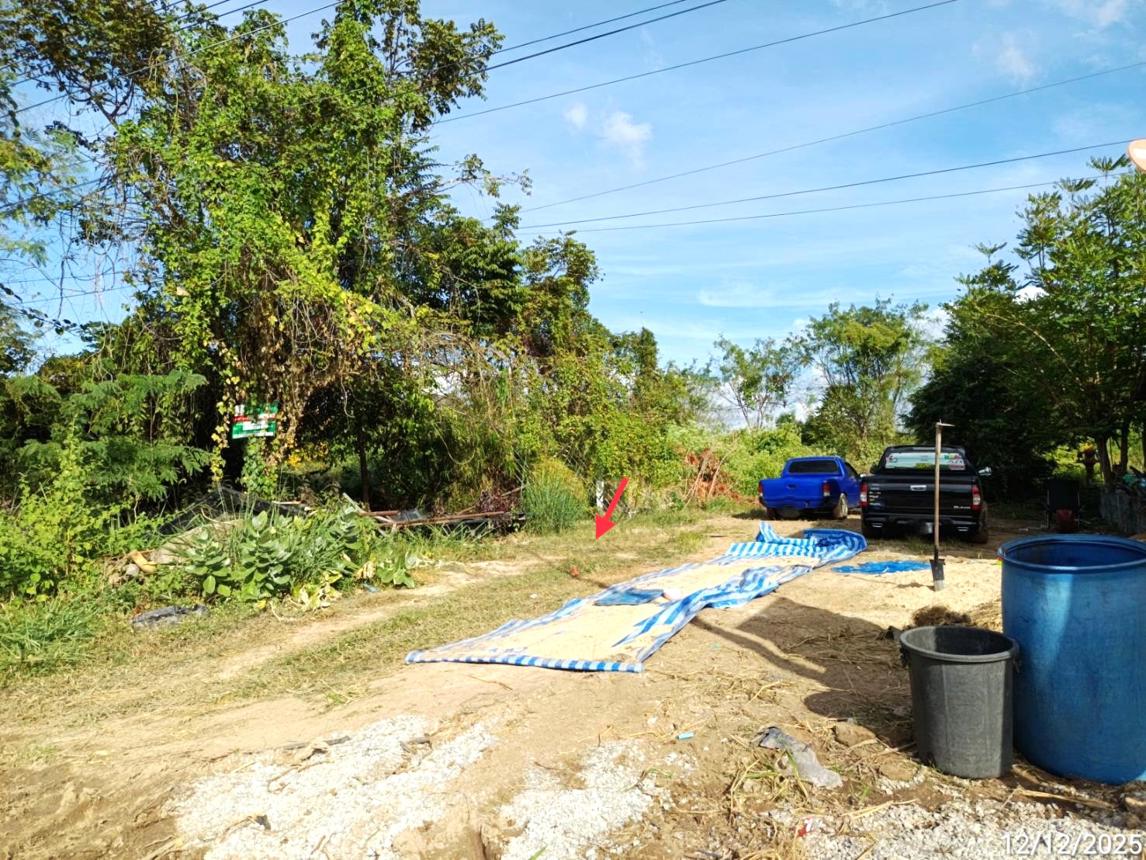 รูป ที่ดินว่างเปล่า สำหรับขาย - ขุย ลำทะเมนชัย นครราชสีมา - รูปที่ 11/22