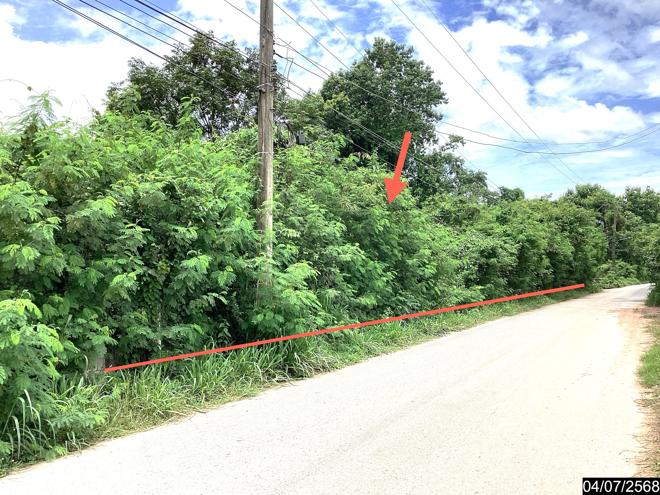 รูป ที่ดินว่างเปล่า สำหรับขาย - นาดี เมืองอุดรธานี อุดรธานี - รูปที่ 2/24