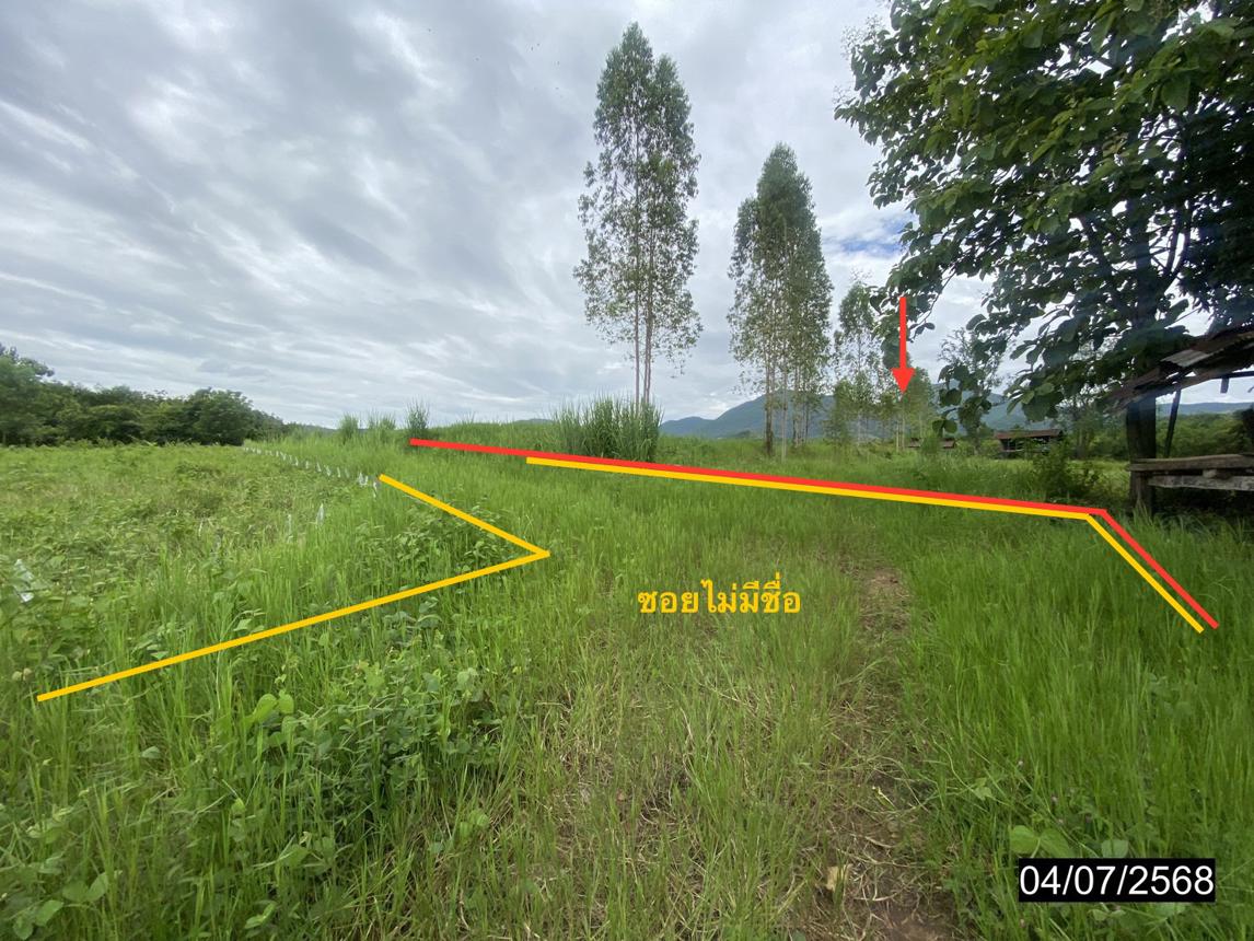 รูป ที่ดินว่างเปล่า สำหรับขาย - อาฮี ท่าลี่ เลย - รูปที่ 6/14