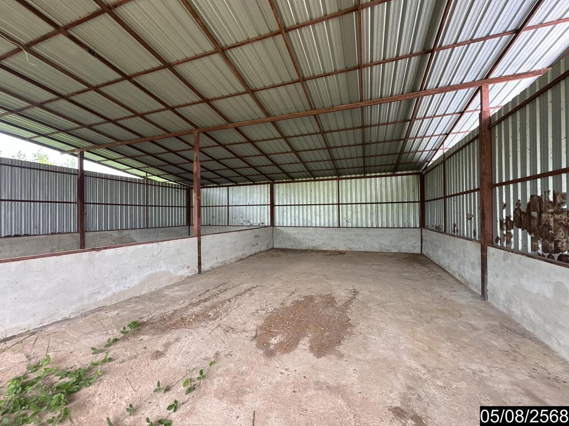 รูป โกดัง สำหรับขาย - นาแต้ เมืองอำนาจเจริญ อำนาจเจริญ - รูปที่ 28/48